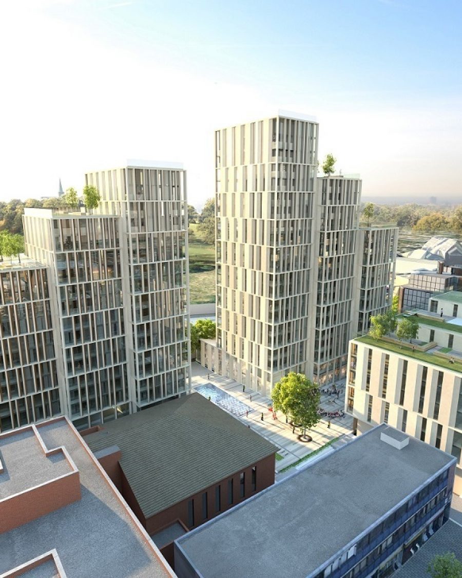 Featured image for College Gardens