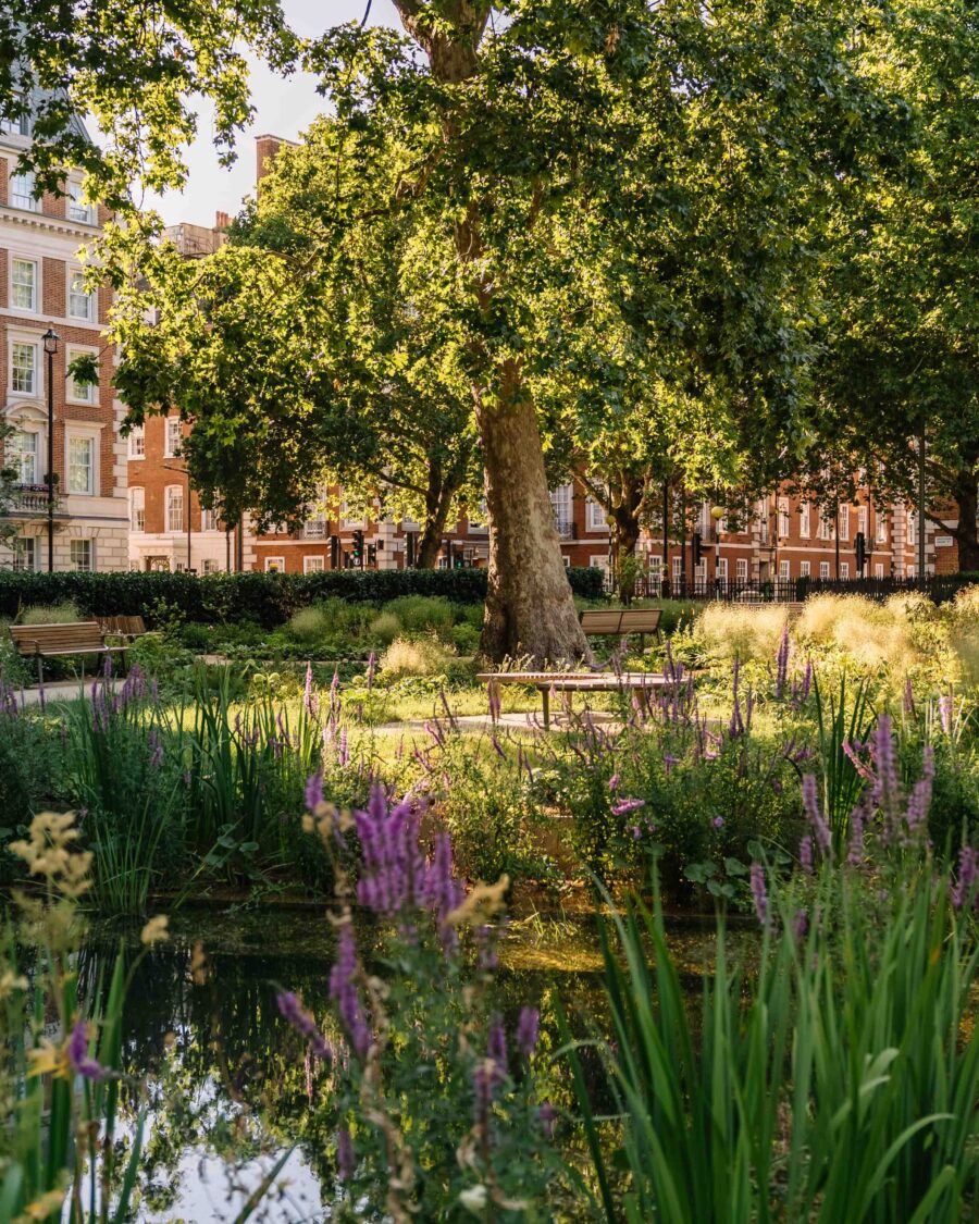 Grosvenor Square Gardens London Velvet Green LOW RES Stuart Bailey Photography 2026 07 06 0032