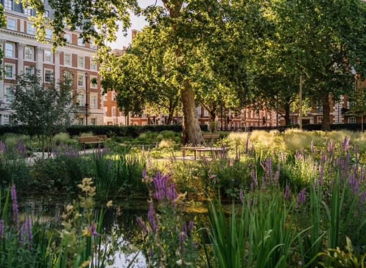 Featured image for Grosvenor Square Gardens